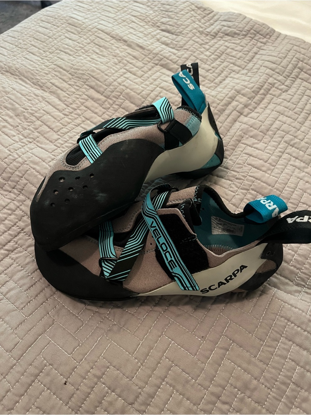 Scarpa Veloce Indoor Climbing Shoes